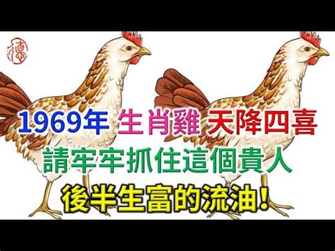 1969生肖雞|【1969年屬雞】1969年屬雞者趨吉避兇指南：2023